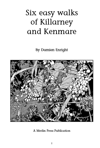 Page example