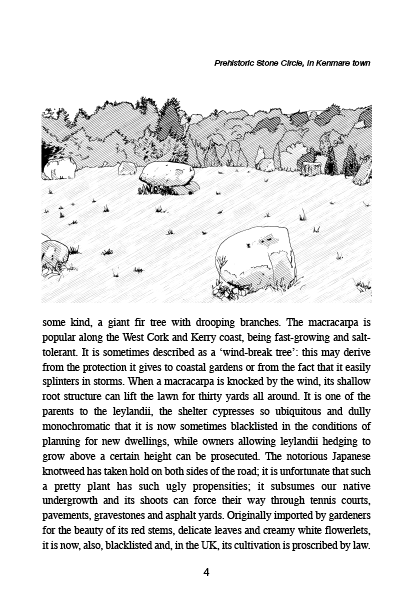 Page example