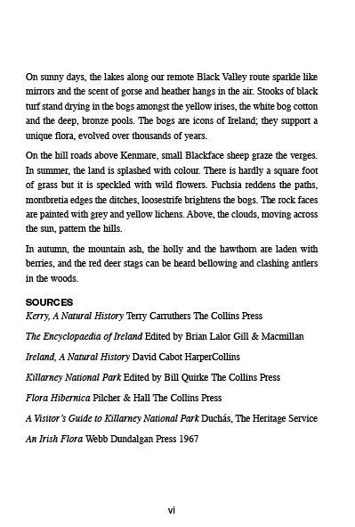 Page example