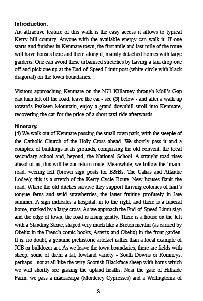 Page example