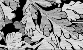 FERN