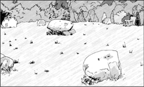 PREHISTORIC STONE CIRCLE