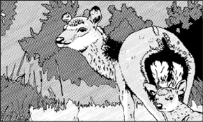SIKA DOE