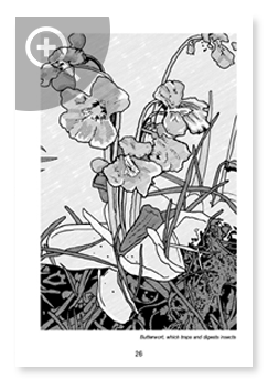 Illustration example