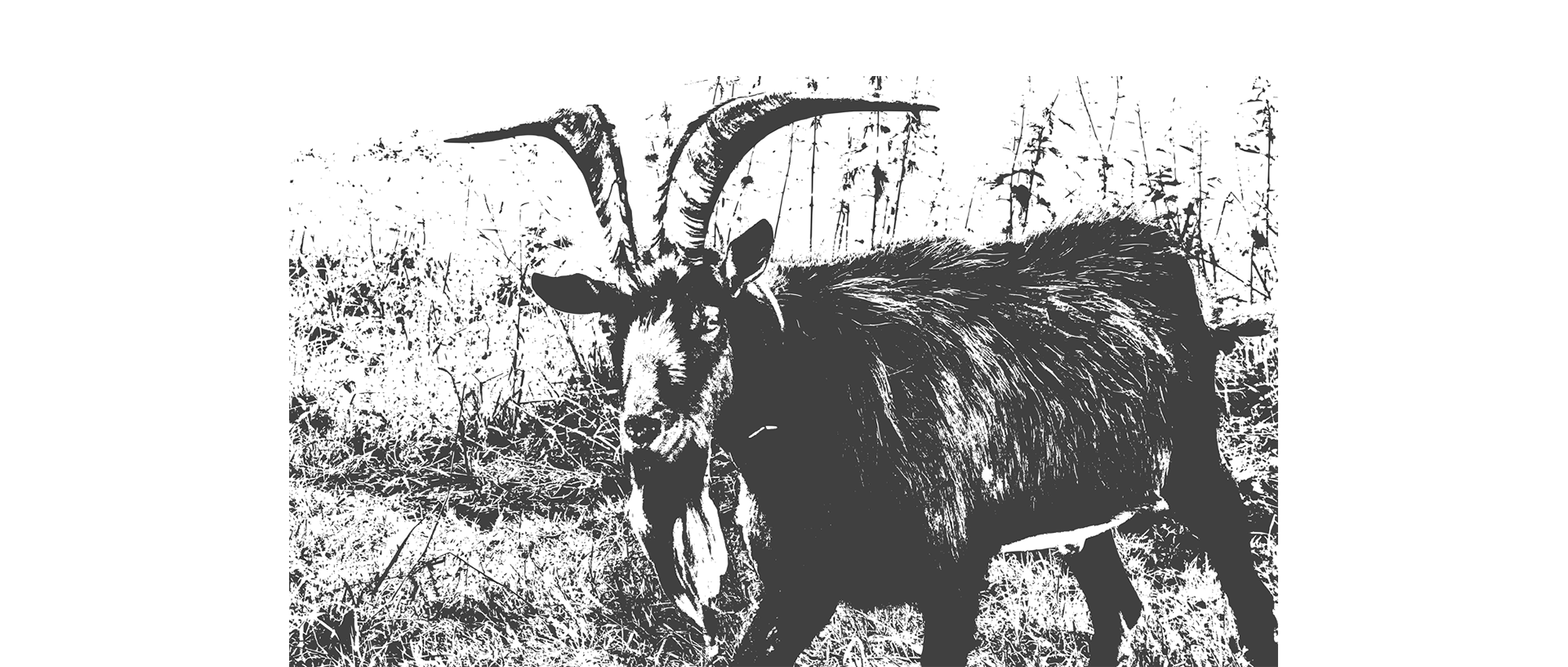 Illustration example