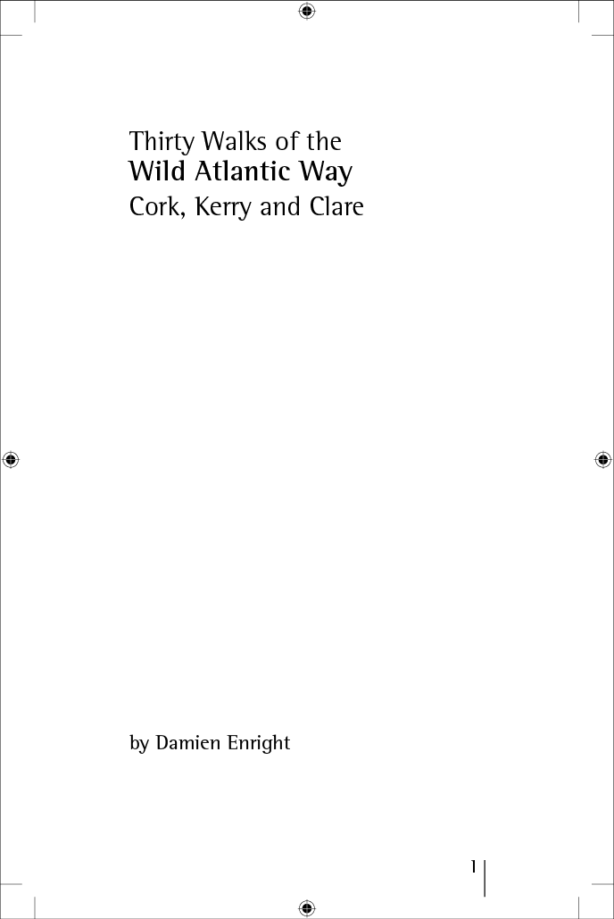 Page example
