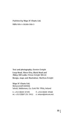 Page example
