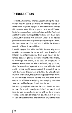 Page example